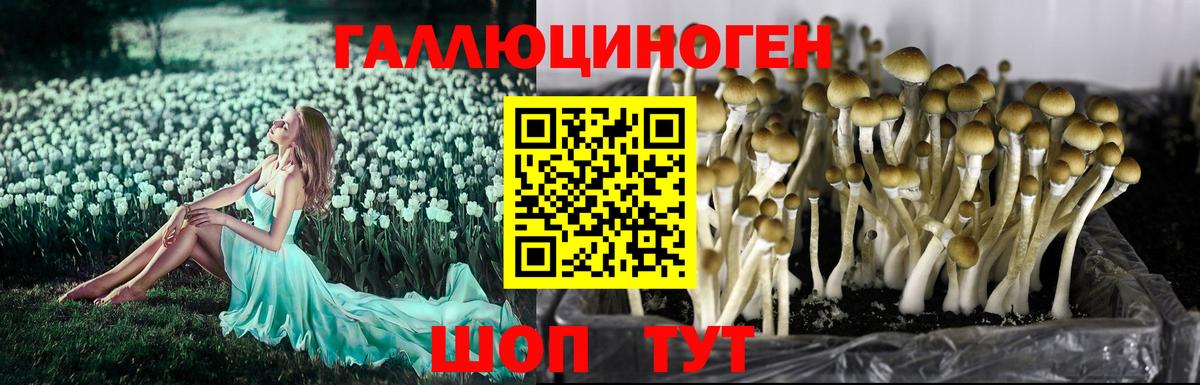 Галлюциногенные грибы мухоморы  Вход с VPN  Лысьва 